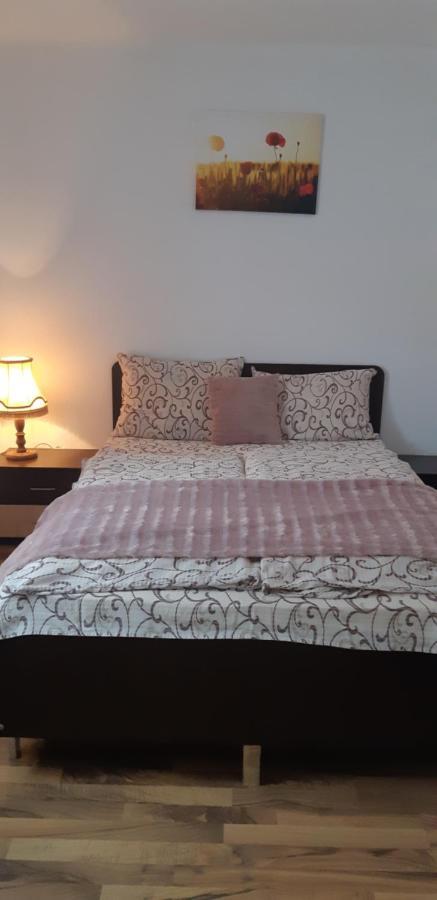 Pensiunea Turistica Retreat Belvedere 克里什河畔瓦杜 外观 照片