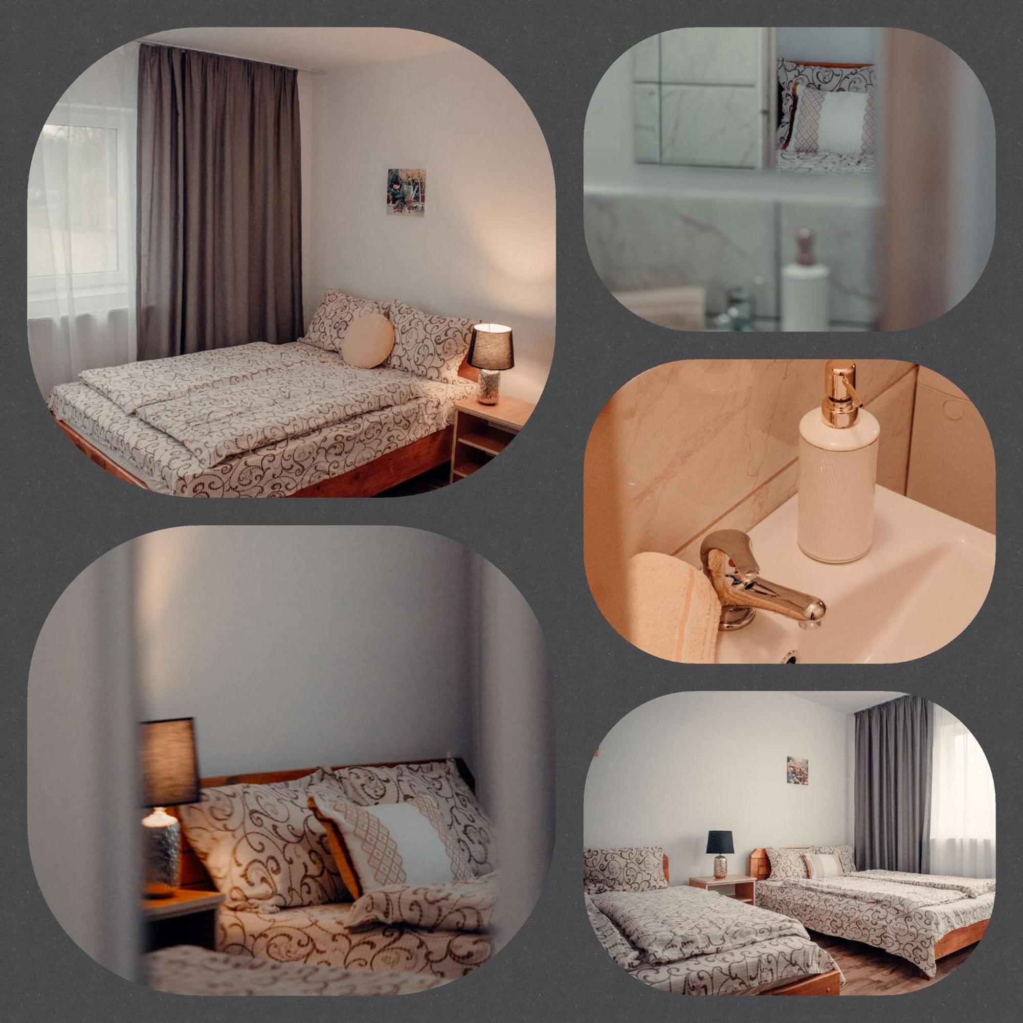 Pensiunea Turistica Retreat Belvedere 克里什河畔瓦杜 外观 照片